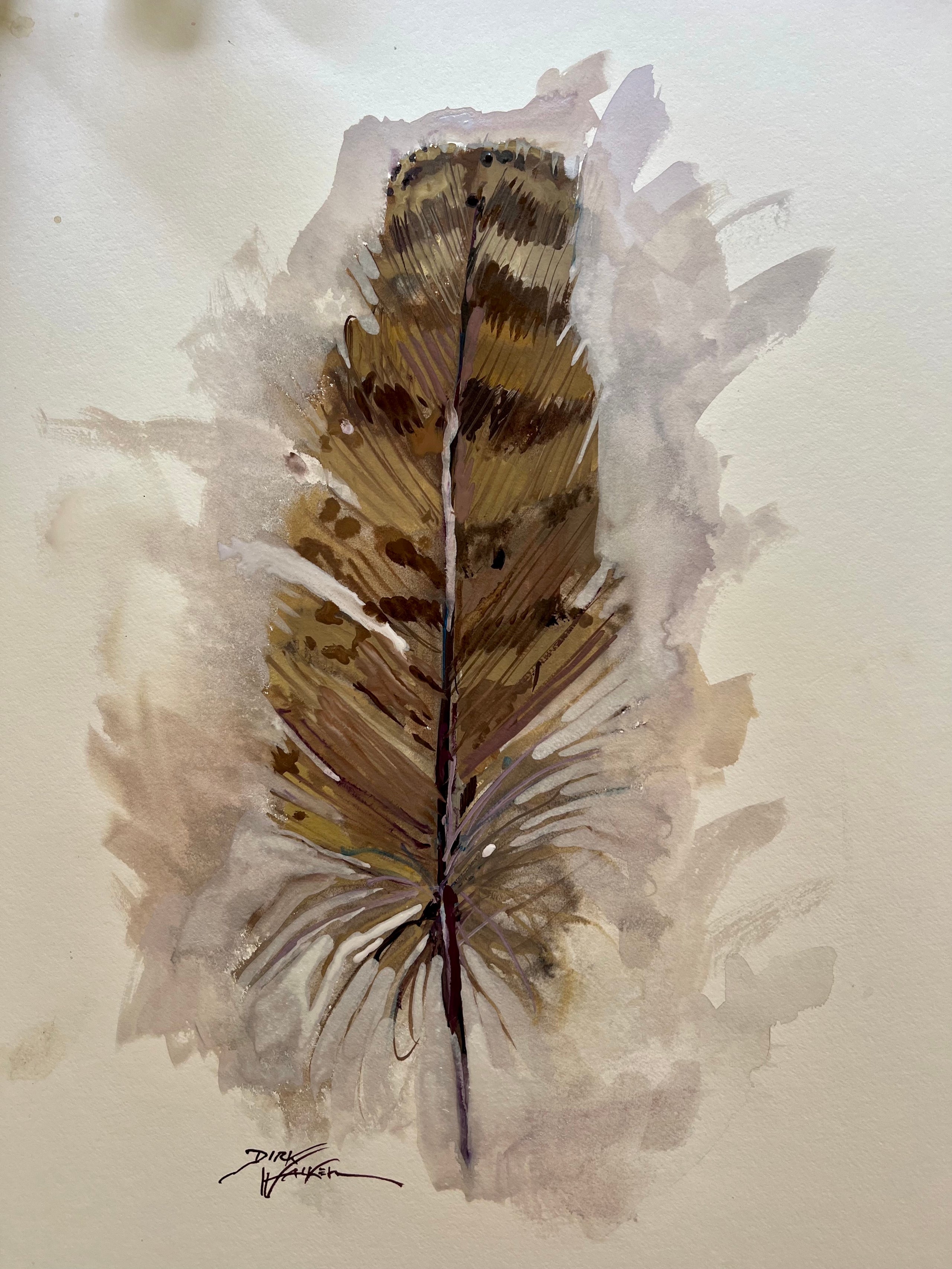pheasant feather by Starrystock on DeviantArt