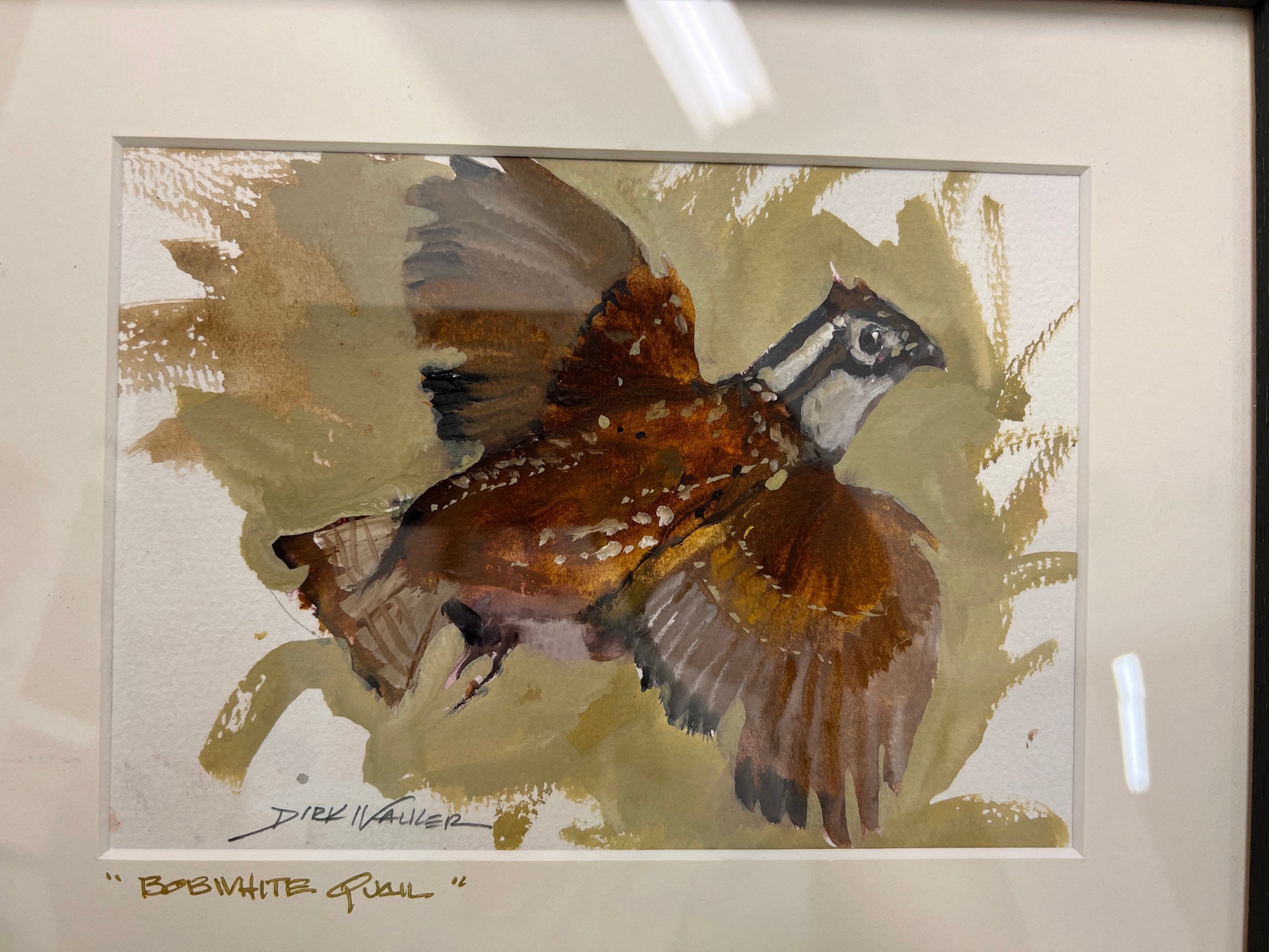 Bobwhite Quail in Flight | Dirk Walker Fine Art